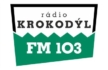 KROKODYL